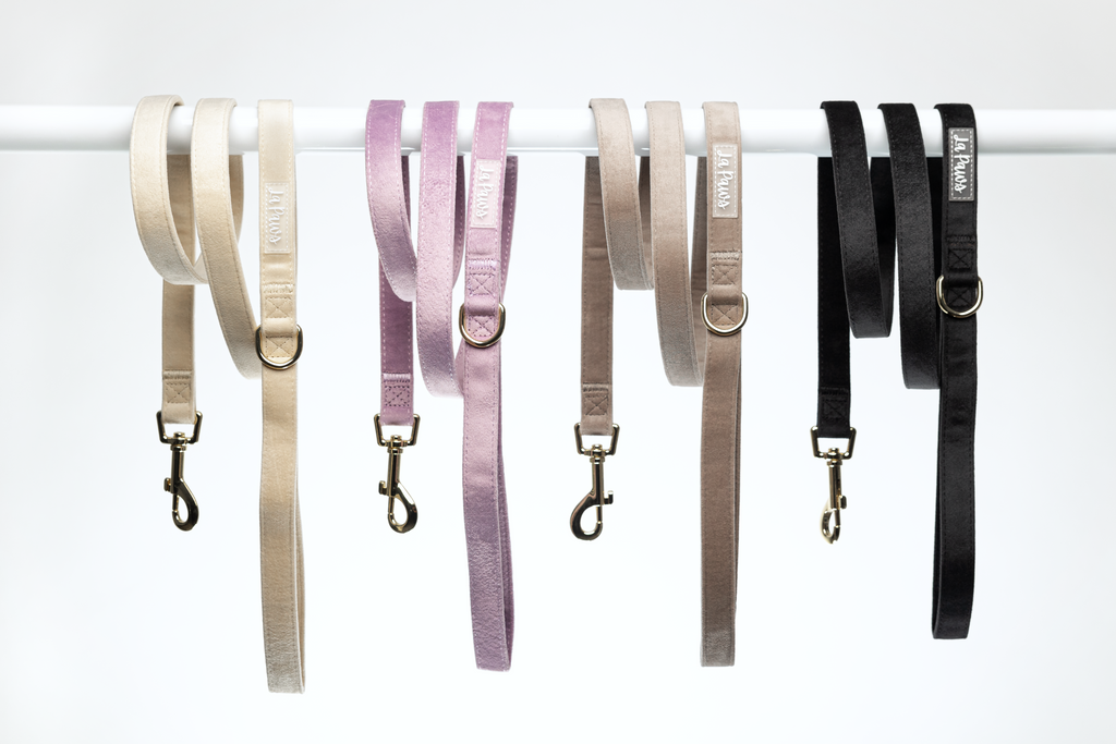 Povodec Velvet + Torbica za vrečke