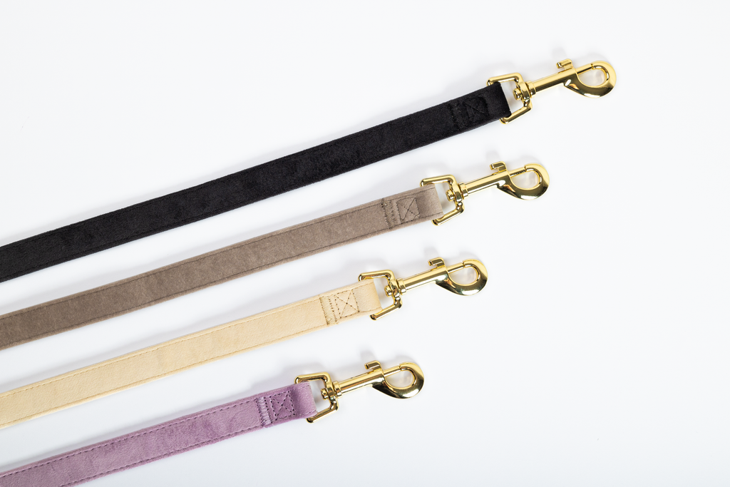 Povodec Velvet + Torbica za vrečke